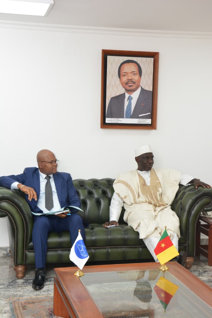 SE PIDACC Cameroun 1
